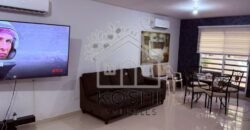 Cerradas del Parque, Apodaca